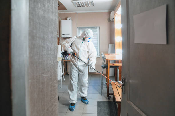 Best Mold-Related Health Consultation  in Dortches, NC
