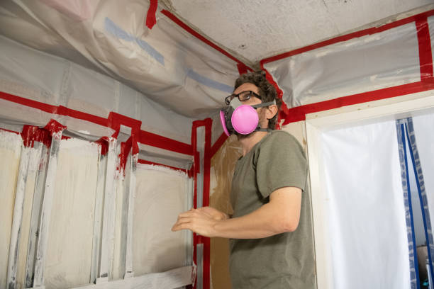 Best Mold Damage Restoration  in Dortches, NC