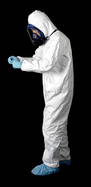 Best Basement Mold Removal  in Dortches, NC