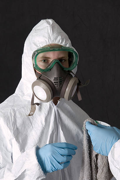 Best Attic Mold Removal  in Dortches, NC